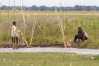 Bangwelu wetlands, Zambia (1675 visits) Bangwelu wetlands, Zambia