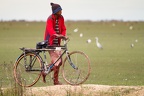 Bangwelu wetlands, Zambia (1784 visits) Bangwelu wetlands, Zambia
