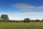 South Luangwa national park, zambia