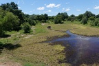 South Luangwa national park, zambia