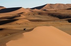 DSCF1584